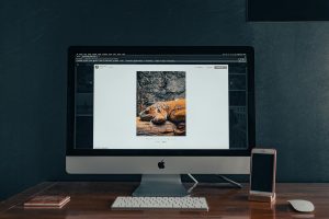 Người dùng mở trang web trên iPhone bằng Safari