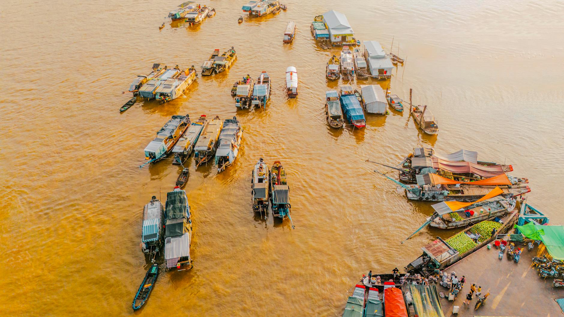 Ảnh minh họa chuẩn bị giấy tờ xác minh rõ nét
